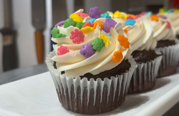 GF&VeganChocolateCupcake